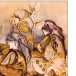 Raywanîya Rojawa de